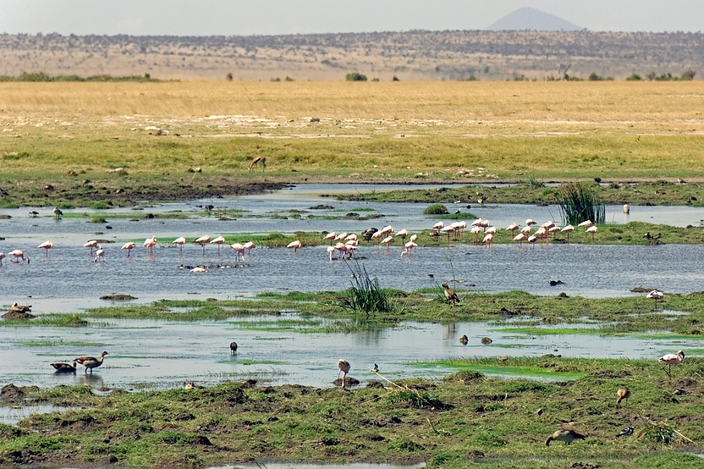 Kenia (239).jpg